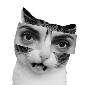 Avatar marca personal