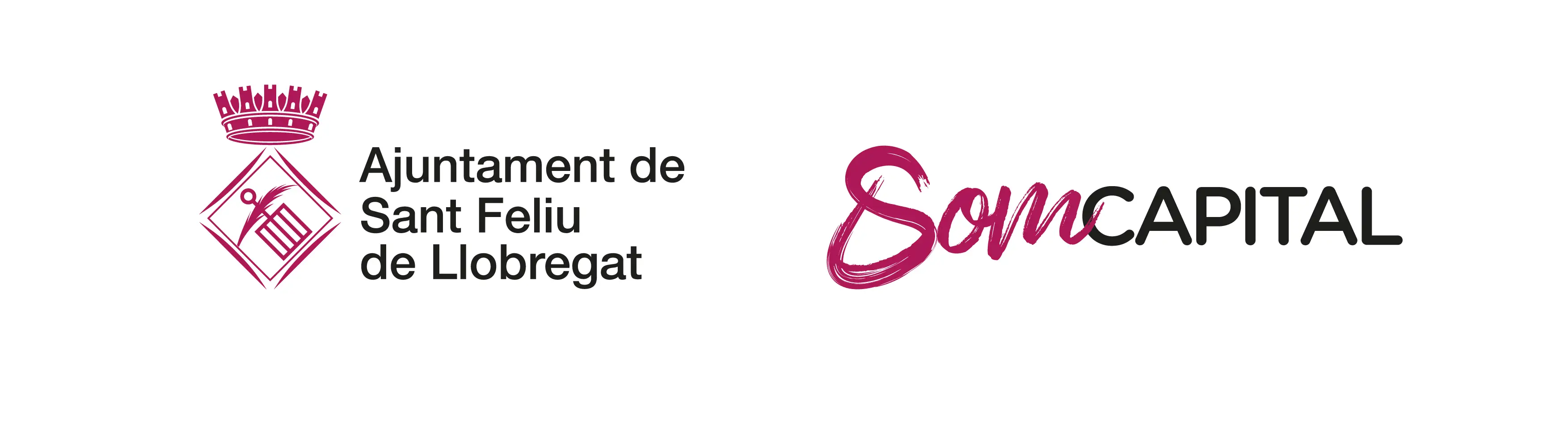 Ajuntament de Sant Feliu de Llobregat